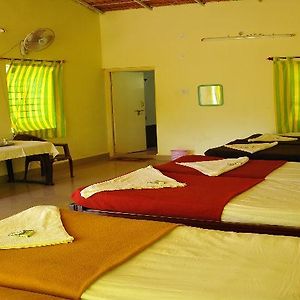 4-Bed Mixed Dormitory Room